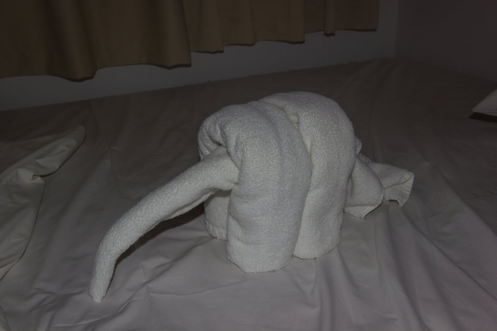 201501011836-MG-8599.jpg